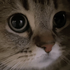 Avatar for reflected846