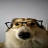 Avatar for tonkatsubowl