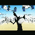 Avatar di Taurock___