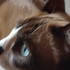 Avatar for lucasmptrr