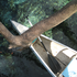 Avatar for mrpeterbrown