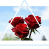 Avatar for magdalena_970