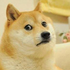 Avatar de nam4lenh