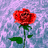 Avatar for just_4erry