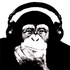 Avatar di Chimpz