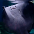 Avatar for ZoisP