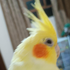 Avatar de luizittto