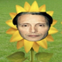 Avatar för acidbabi