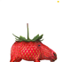 Avatar for Tedi12345