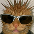 Avatar for XDEMELLOX