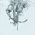Avatar for LinaMarie1505
