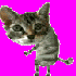 Avatar for Damoklok