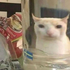 Avatar für Jaicklou