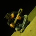 Avatar di Johlll