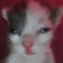 Avatar for demoons