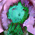 Avatar for eoKoR