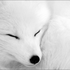 Avatar for Olesyalovemusic