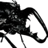 Avatar for voidelo