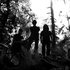 Avatar for Wolves in the Throne Room