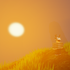Avatar for eyeman0