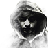Avatar for Wilku1000i1