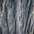 Avatar for SelectDetail57