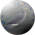Avatar for tomvecc