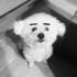 mint_baba için avatar