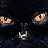 Avatar for sukisukilove