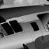 Avatar di rabarbar7
