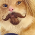 Avatar for pichulinhaa
