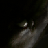 Avatar for iivili