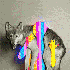 Avatar di Krizalid1111