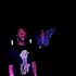 Avatar for PlutxToTrxps