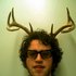 Avatar for The Woods