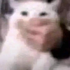 i17xml için avatar