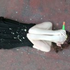 Avatar for confusionissexx