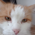 Avatar for pawciolszf