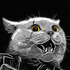 Avatar for DGBODragonzord