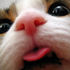 Avatar for onetrashyboi