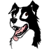 Avatar de culmor30