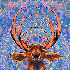 Avatar for Kucpa