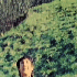 Avatar for Magiuneration