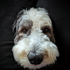 Avatar for ehansen42