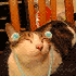Avatar for Smetanko