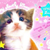 Avatar for n3rvousyoung
