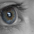 SchulterKobi için avatar