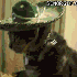 Avatar für jurster