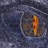 Avatar for luinnar