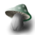 Avatar for jolly_shroom